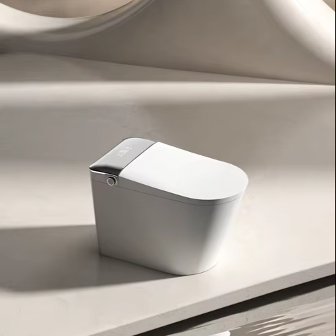 JM810L Intelligent WC Toilet S - Smart Accessories review and price